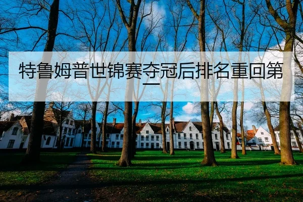 特鲁姆普世锦赛夺冠后排名重回第一