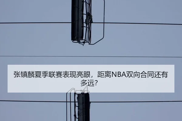 张镇麟夏季联赛表现亮眼，距离NBA双向合同还有多远？
